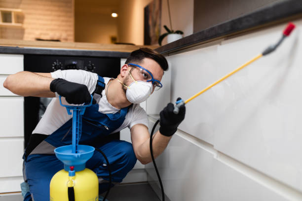 Best Affordable Pest Control Services  in Decatur, GA
