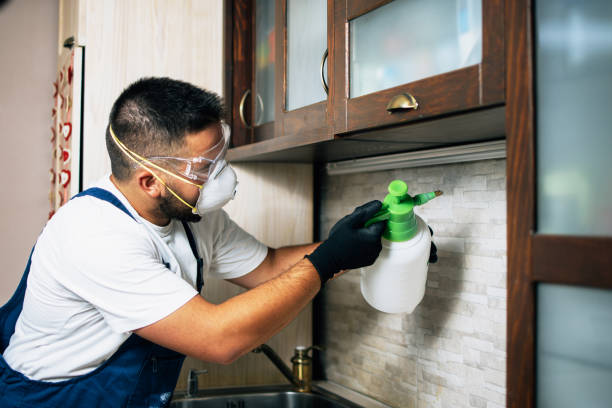 Best Rat Extermination Near Me  in Decatur, GA