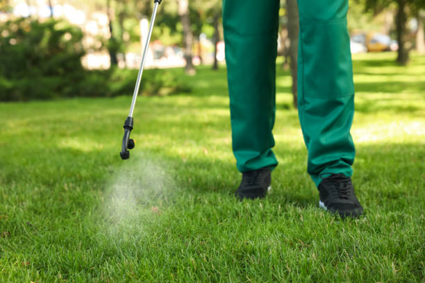 Best Wildlife Control Services  in Decatur, GA