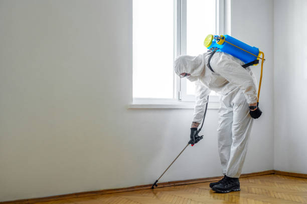 Best Affordable Pest Control Services  in Decatur, GA