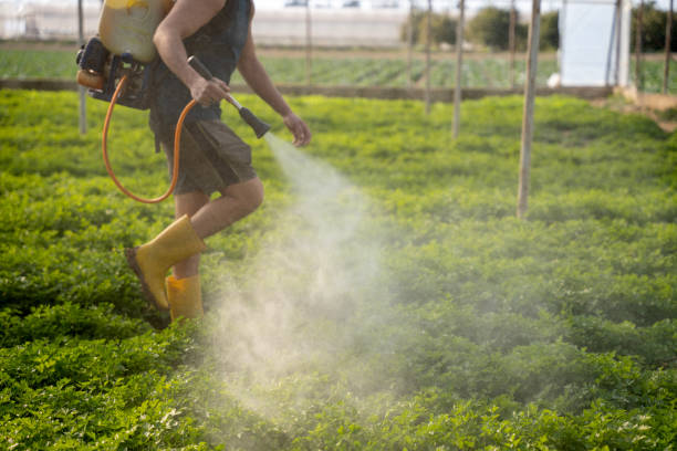 Best Affordable Pest Control Services  in Decatur, GA