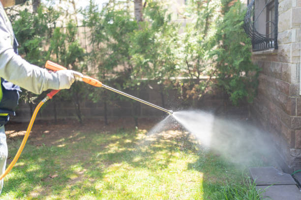 Best Termite Control Services  in Decatur, GA