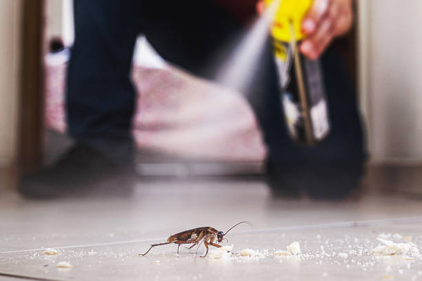 Best Pest Prevention Services  in Decatur, GA