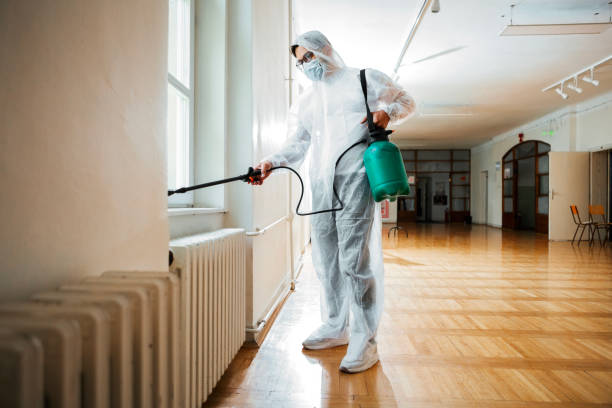 Best Insect Control  in Decatur, GA