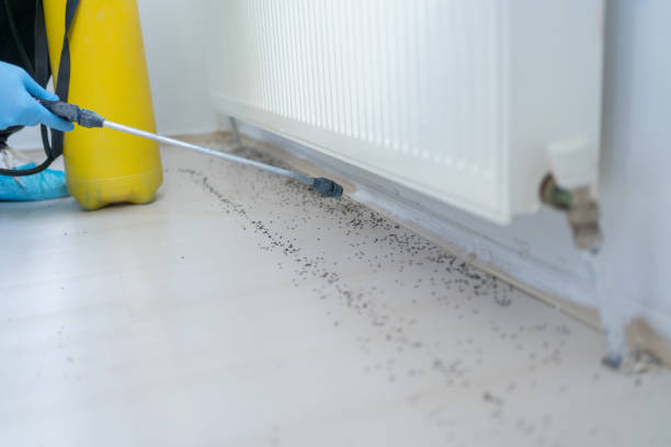 Best Mosquito Control Services  in Decatur, GA