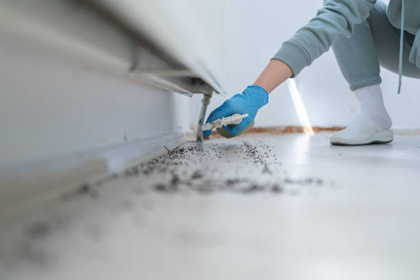 Best Wasp Removal Services  in Decatur, GA