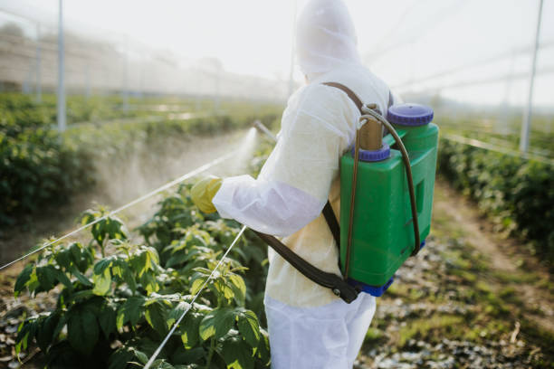 Professional Pest Control in Decatur, GA